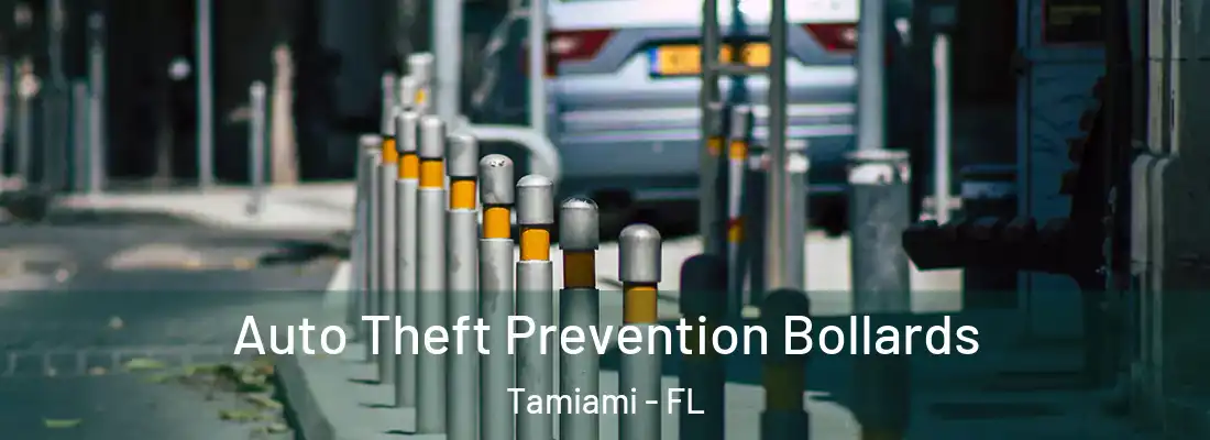  Auto Theft Prevention Bollards Tamiami - FL