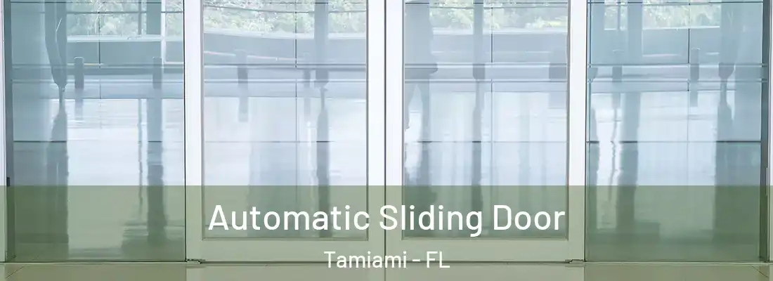 Automatic Sliding Door Tamiami - FL