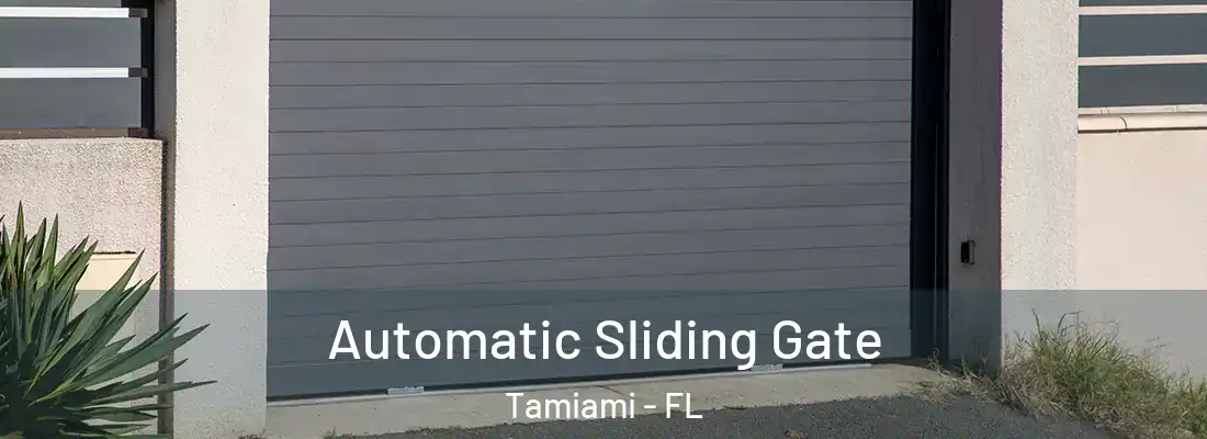  Automatic Sliding Gate Tamiami - FL