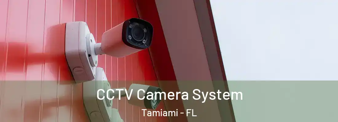 CCTV Camera System Tamiami - FL