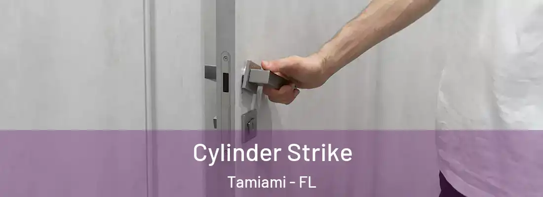  Cylinder Strike Tamiami - FL