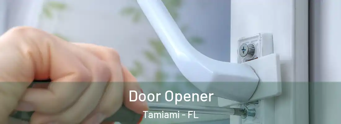  Door Opener Tamiami - FL