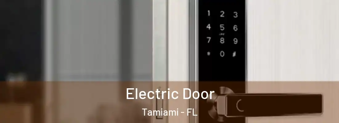 Electric Door Tamiami - FL