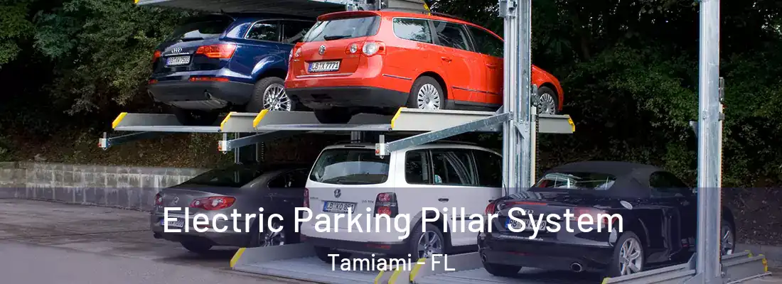  Electric Parking Pillar System Tamiami - FL