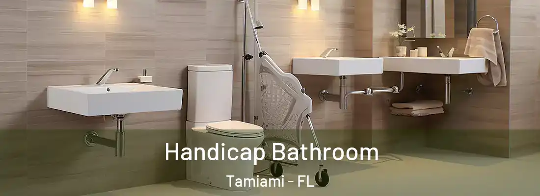 Handicap Bathroom Tamiami - FL
