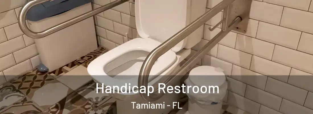  Handicap Restroom Tamiami - FL