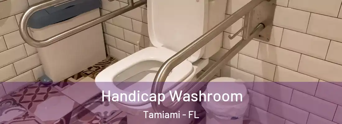 Handicap Washroom Tamiami - FL