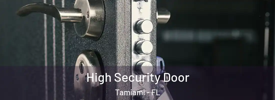  High Security Door Tamiami - FL