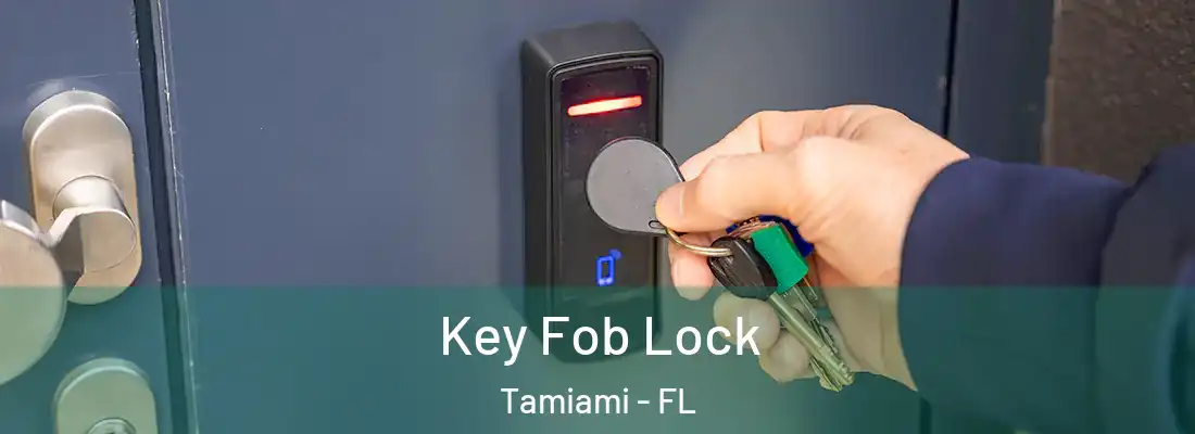  Key Fob Lock Tamiami - FL