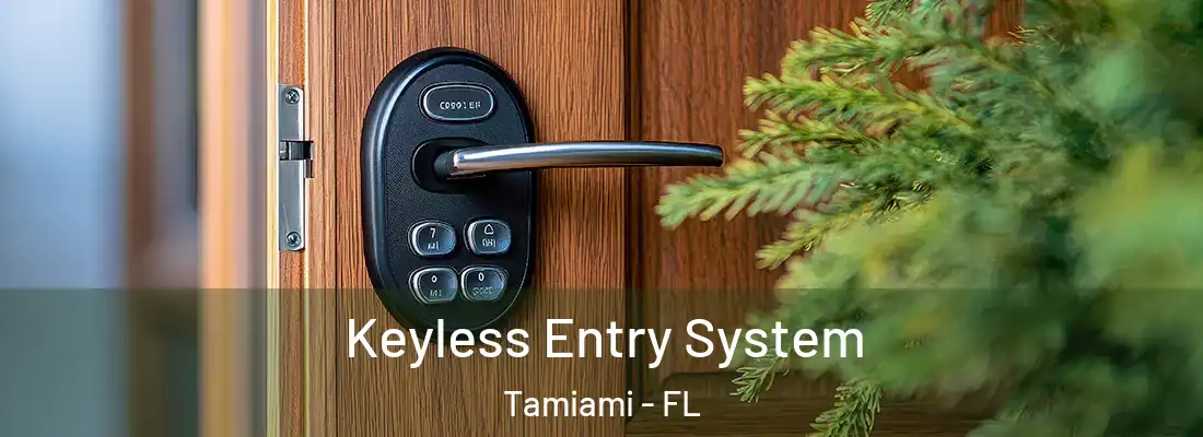 Keyless Entry System Tamiami - FL