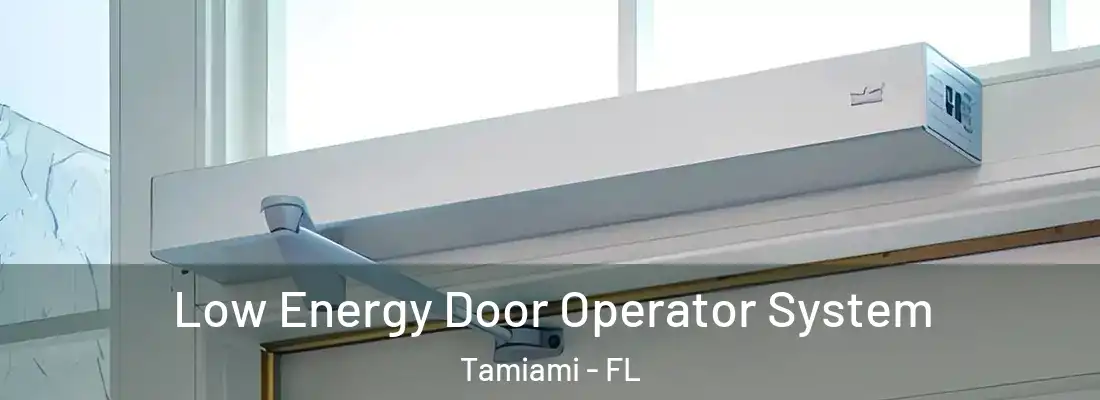 Low Energy Door Operator System Tamiami - FL
