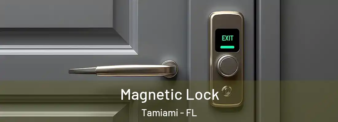  Magnetic Lock Tamiami - FL