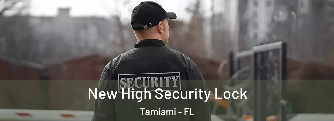 New High Security Lock Tamiami - FL