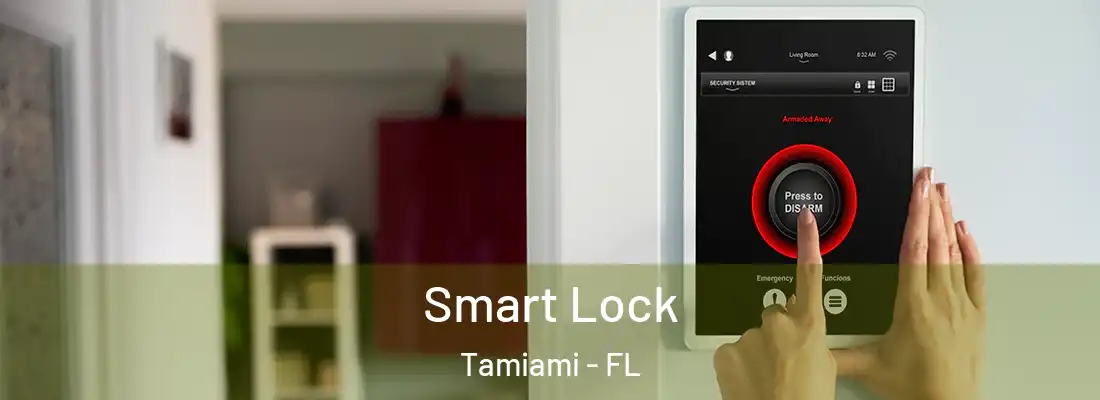 Smart Lock Tamiami - FL