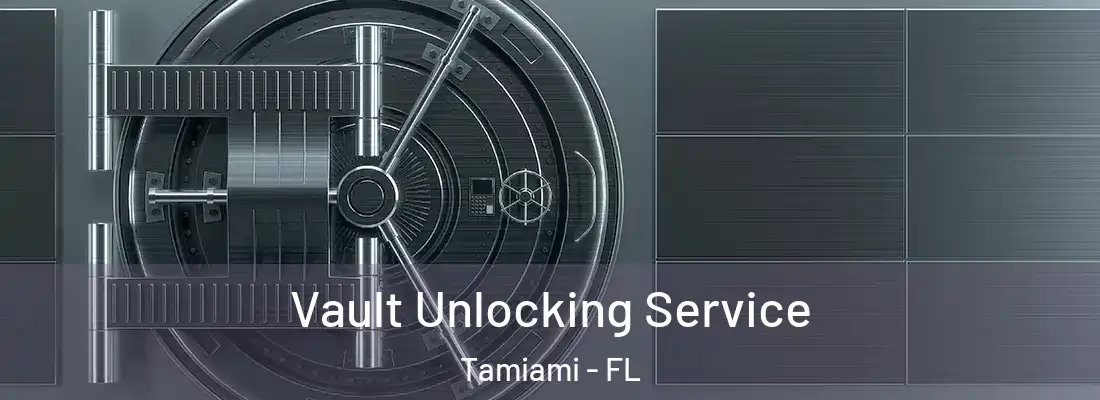  Vault Unlocking Service Tamiami - FL